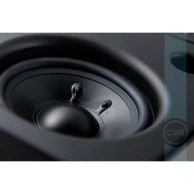 Настенная акустика CVGAUDIO RF416TBL